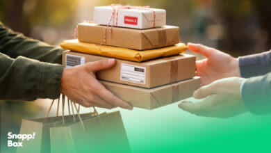 دستهای پیک اسنپباکس که چند بستهی ارسالشده توسط سرویس ارسال بهصرفه را تحویل مشتری میدهند
